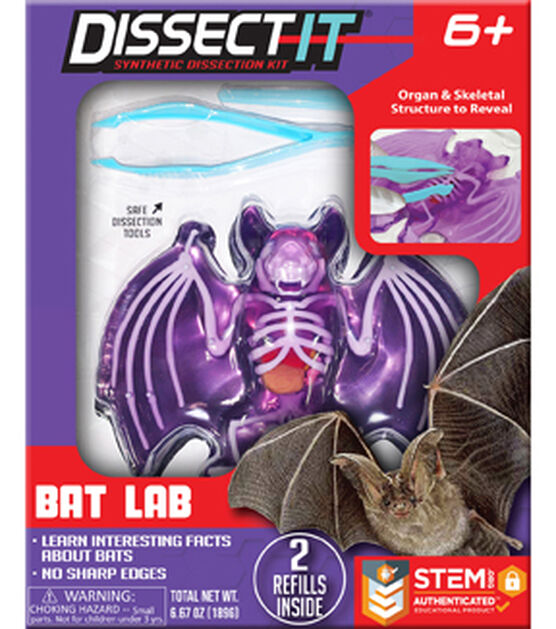 Dissect-It® Bat Lab