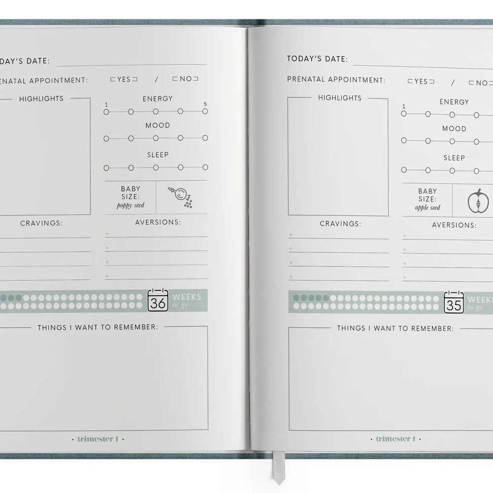 The Pregnancy Journal