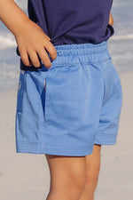 The Beaufort Bonnet Company - Sunrise Blvd Blue & Saratoga Stone Sheffield Shorts